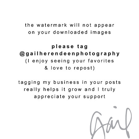 please tag copy