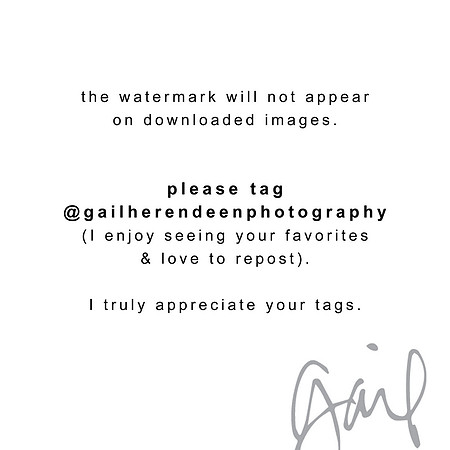 in appreciation