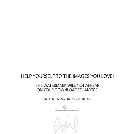 watermark