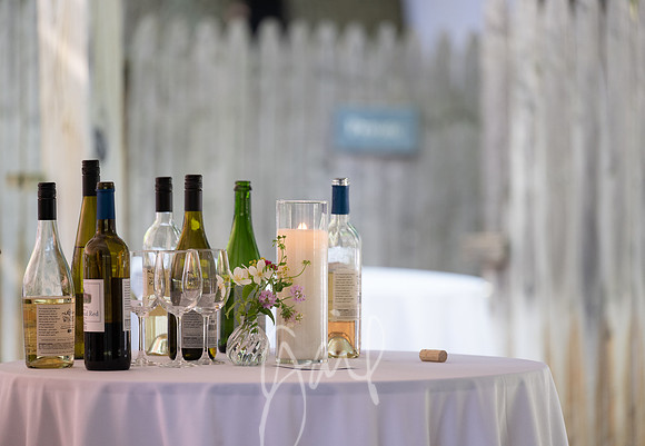 Lissa & Rob -5