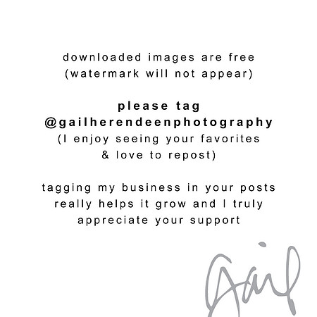 please tag copy